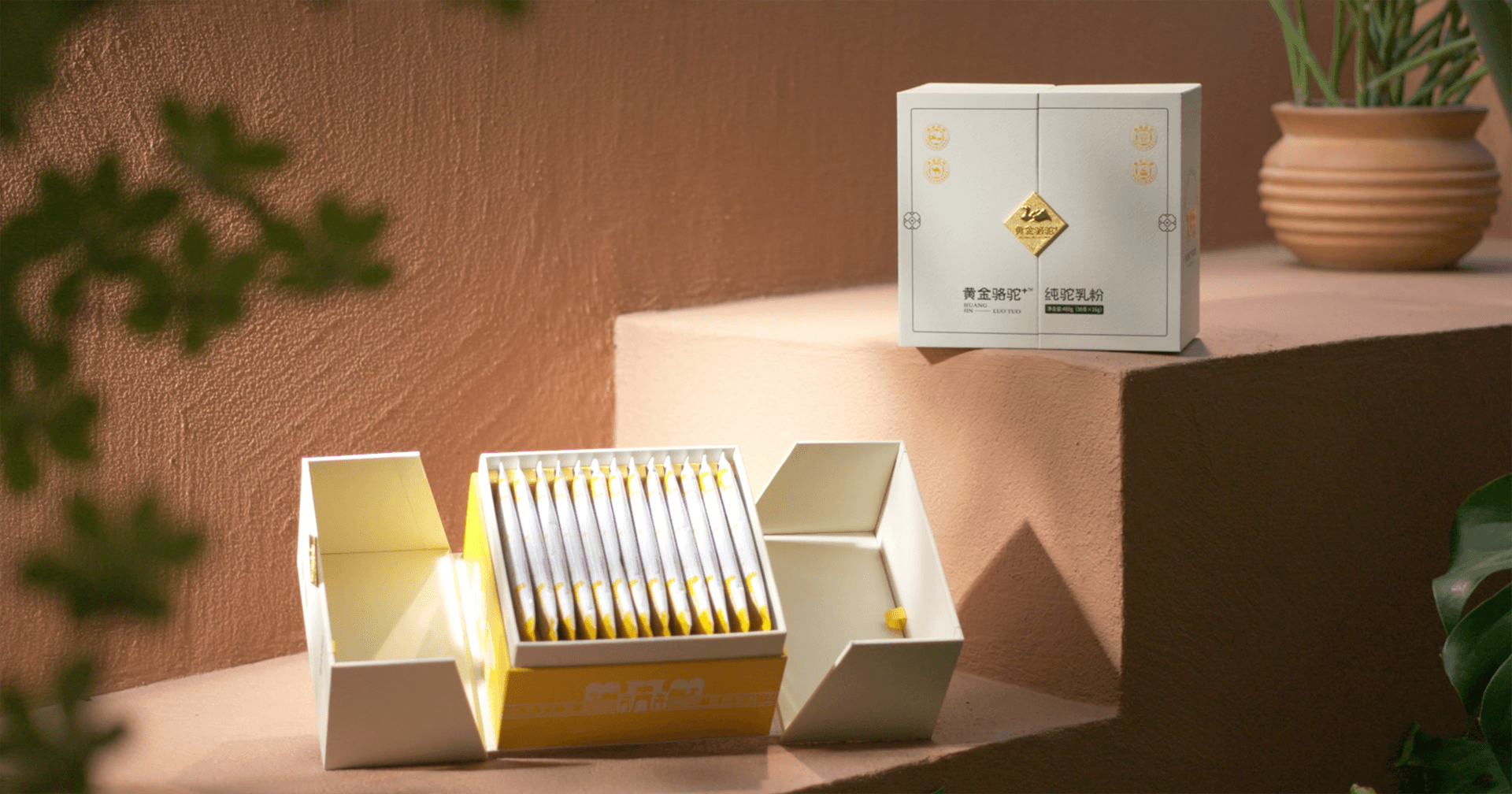 定位小众高端乳粉，AG庄闲推出驼奶品牌“黄金骆驼+”，角逐乳品新市场！
